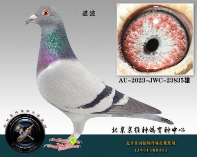 80-AU-2023-JWC-23835ɰ