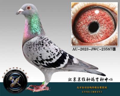 10-AU-2023-JWC-23587