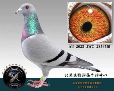 11-AU-2023-JWC-23565