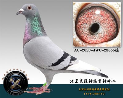 12-AU-2023-JWC-23655