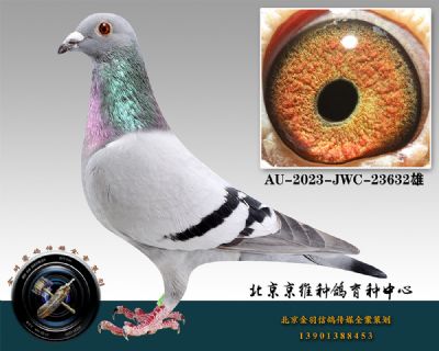 14-AU-2023-JWC-23632