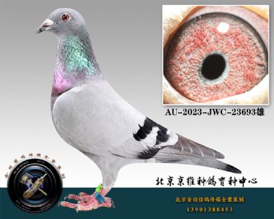 13-AU-2023-JWC-23693