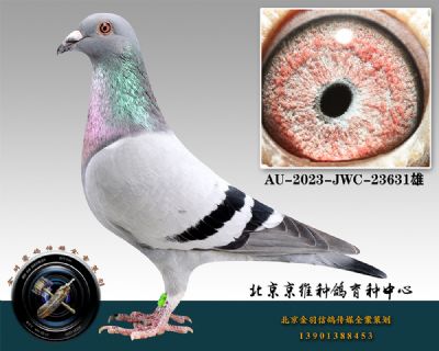 15-AU-2023-JWC-23631