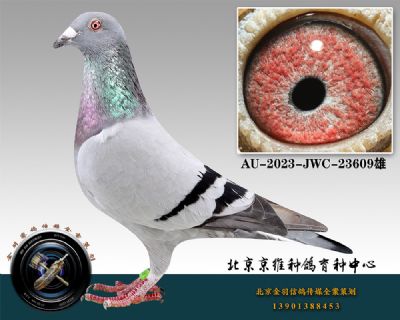 16-AU-2023-JWC-23609