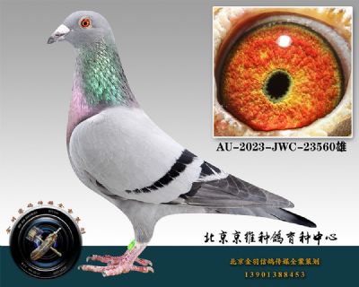 17-AU-2023-JWC-23560