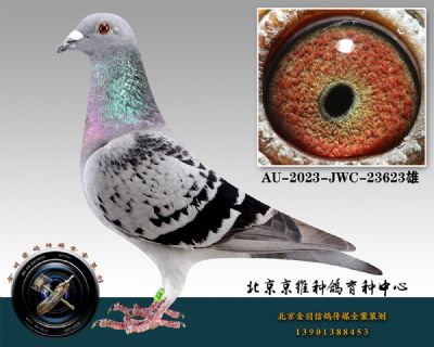 18-AU-2023-JWC-23623