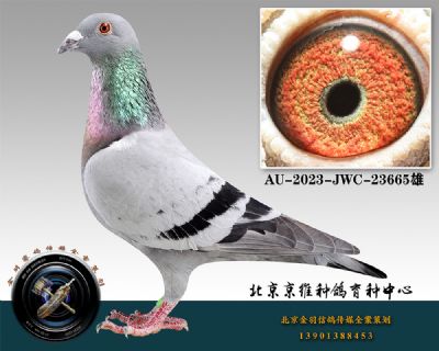 19-AU-2023-JWC-23665