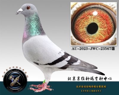 20-AU-2023-JWC-23567