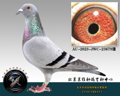 21-AU-2023-JWC-23679