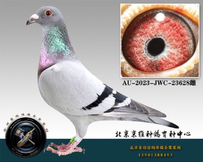 22-AU-2023-JWC-23628