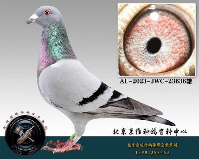 23-AU-2023-JWC-23636