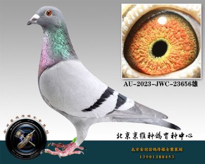 24-AU-2023-JWC-23656