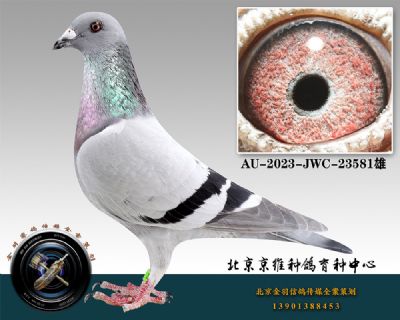 25-AU-2023-JWC-23581