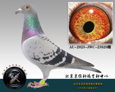 81-AU-2023-JWC-23820ƴ