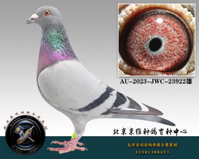 84-AU-2023-JWC-23922ɰ