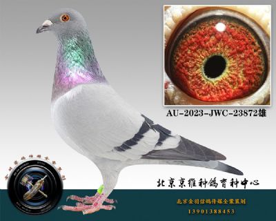 86-AU-2023-JWC-23872һ