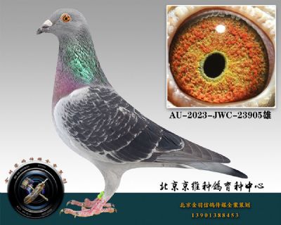 89-AU-2023-JWC-23905