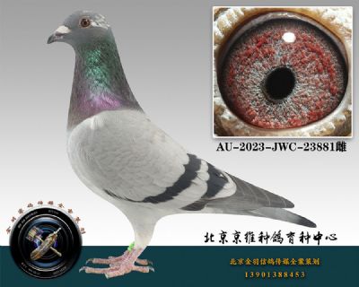 93-AU-2023-JWC-23881һɰ