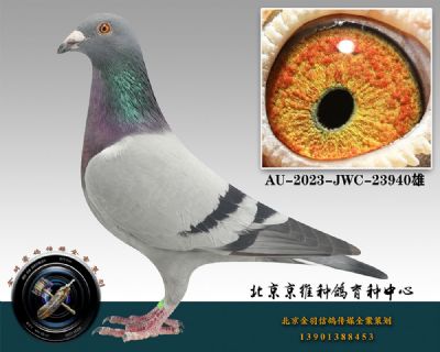 94-AU-2023-JWC-23940һ