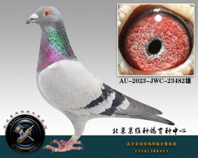 96-AU-2023-JWC-23482ɰ