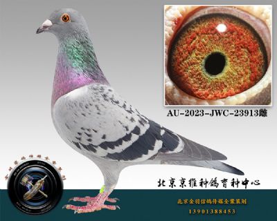 98-AU-2023-JWC-23913ƴ