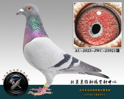 99-AU-2023-JWC-23921ɰ