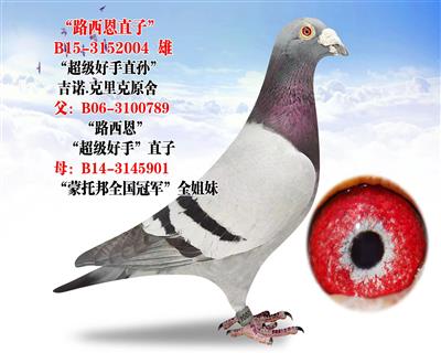 ��ѫ�� ��·����ֱ�ӡ� ��ŵ.�����ԭ��