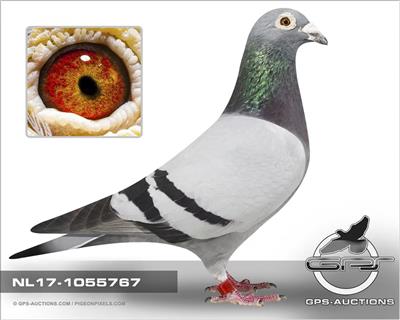 ���ʵۺ����� ��  767