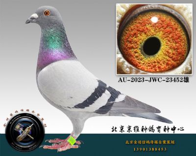 101-AU-2023-JWC-23452һ