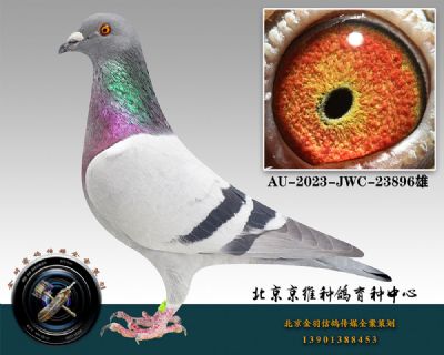 103-AU-2023-JWC-23896һ