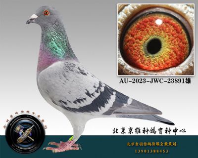 105-AU-2023-JWC-23891