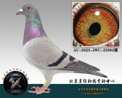 108-AU-2023-JWC-23884һ