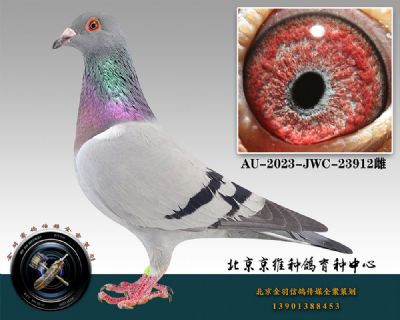 107-AU-2023-JWC-23912ɰ