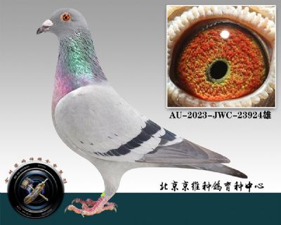 109-AU-2023-JWC-23924һ