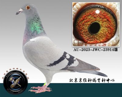 112-AU-2023-JWC-23914һ