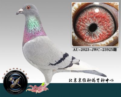 114-AU-2023-JWC-23925Ұ