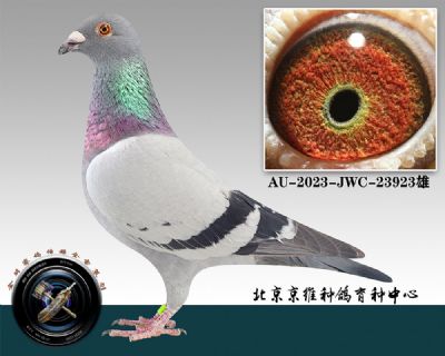 116-AU-2023-JWC-23923һ