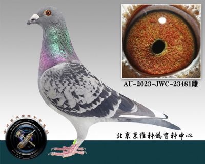 118-AU-2023-JWC-23481ƴ