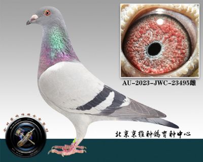 117-AU-2023-JWC-23495ɰ