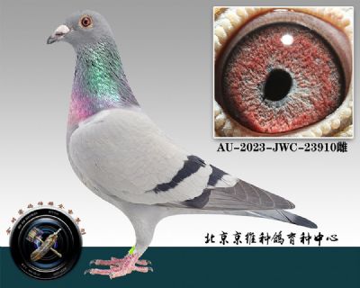 120-AU-2023-JWC-23910ɰ