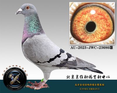 27-AU-2023-JWC-23686