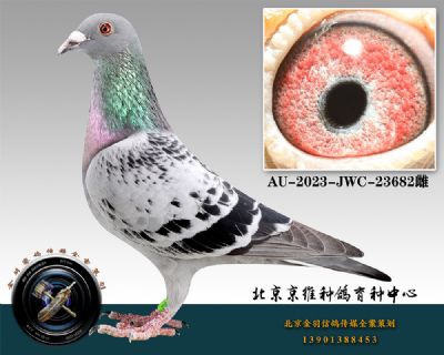 26-AU-2023-JWC-23682