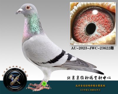 28-AU-2023-JWC-23622