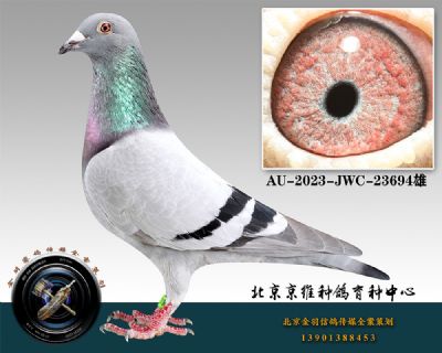 29-AU-2023-JWC-23694