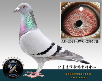 30-AU-2023-JWC-23650