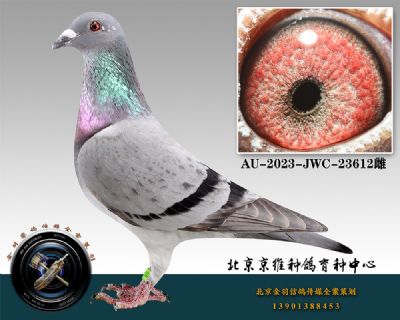 31-AU-2023-JWC-23612