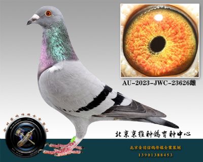 33-AU-2023-JWC-23626