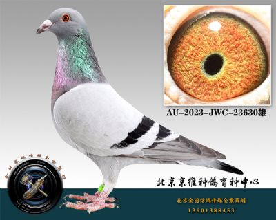 34-AU-2023-JWC-23630