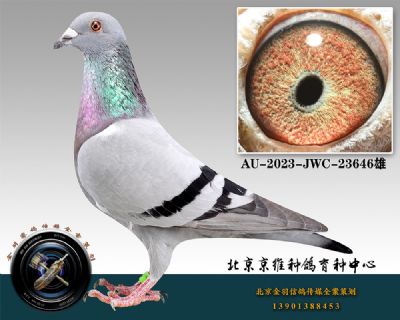 35-AU-2023-JWC-23646