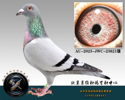 36-AU-2023-JWC-23621